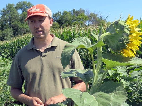 USDA entomologist Jonathan Lundgren