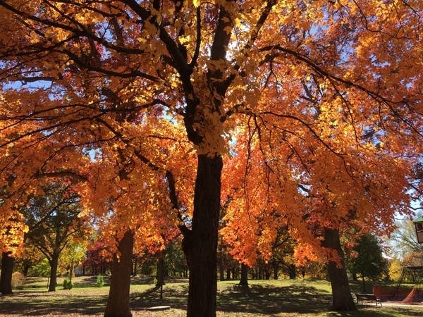 Bright and warmer to start the week; Wednesday shower chance 