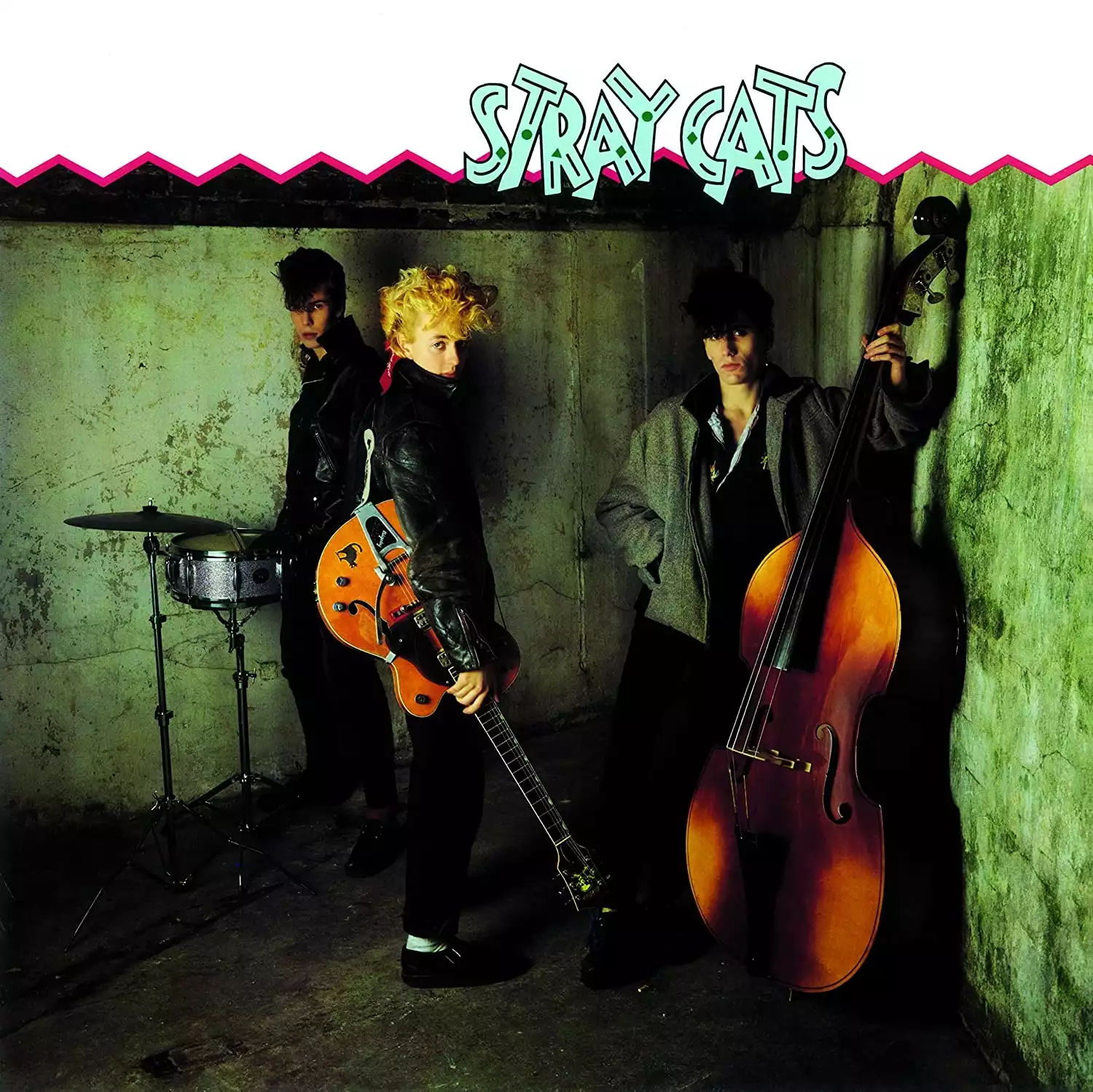 93900c-20230615-stray-cats-