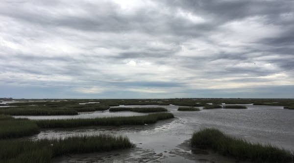 Texas Coastal Exchange says preserving coastal marshland could be key to battling climate change.
