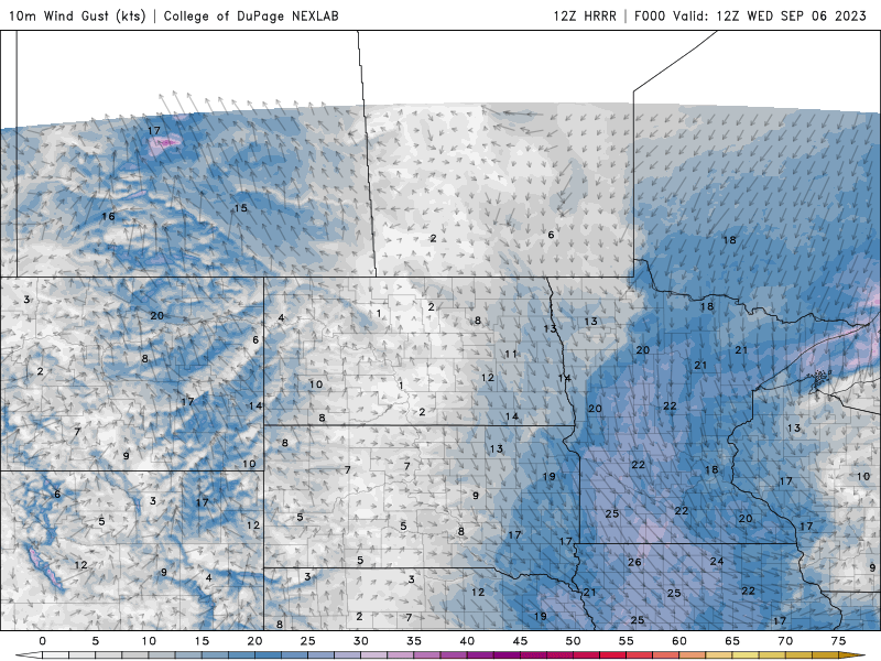 WED winds