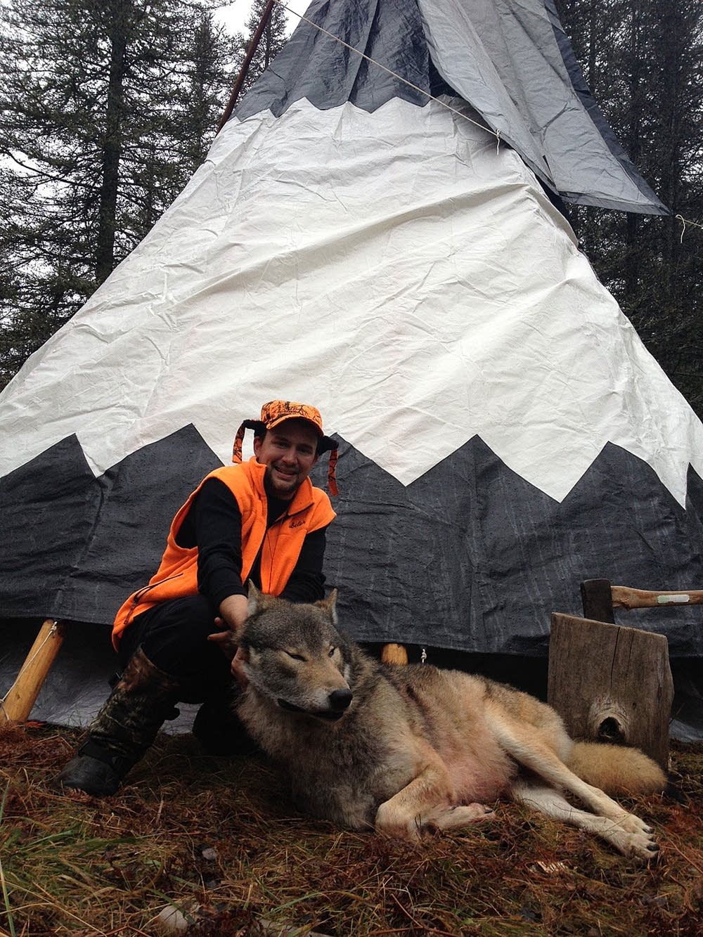 Wolf trophy