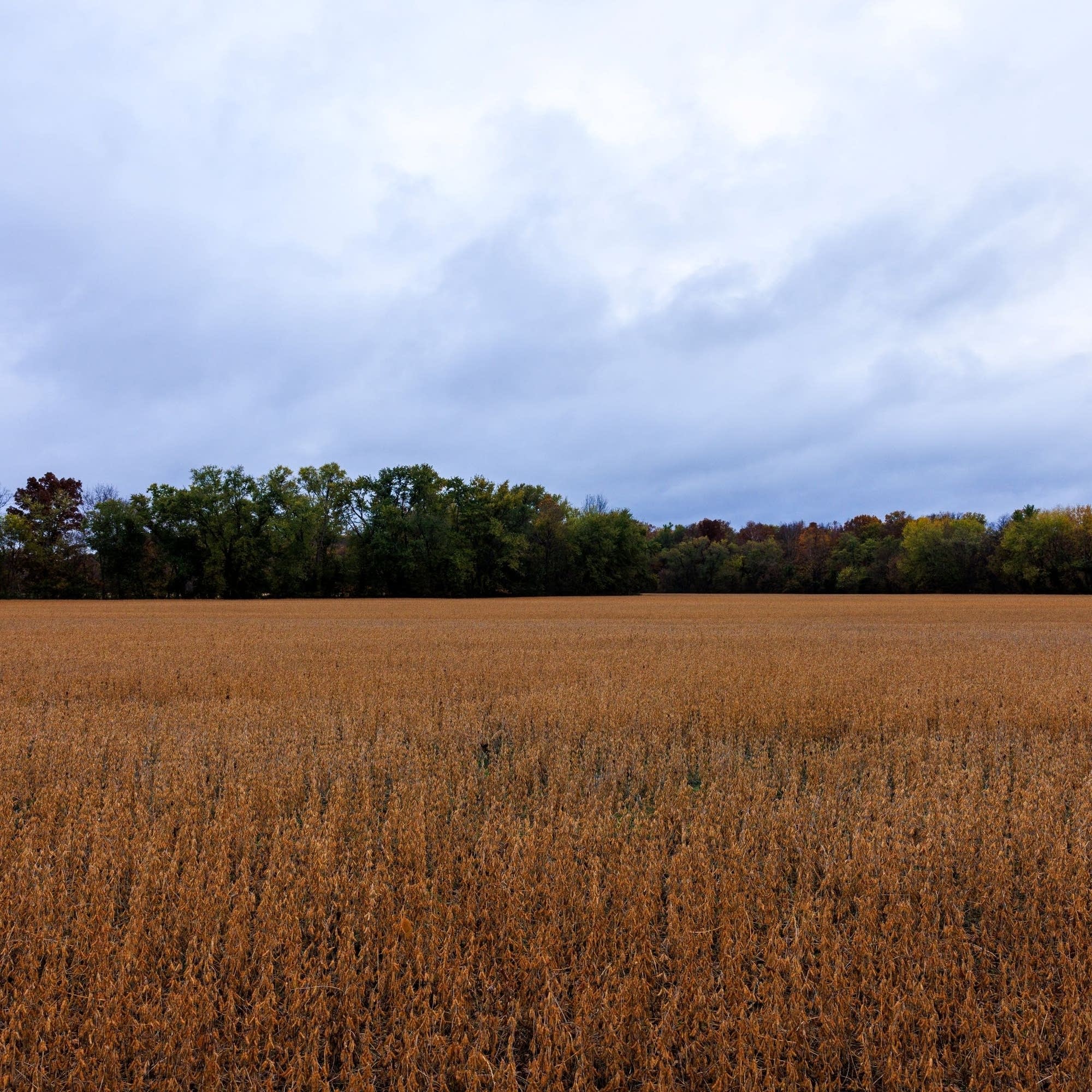 Feeling down on the farm
