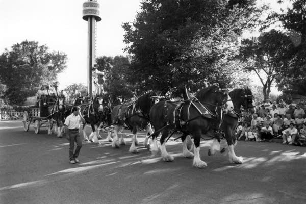 How a small piece of history from a famous beer company ended up at the Minnesota State Fair 