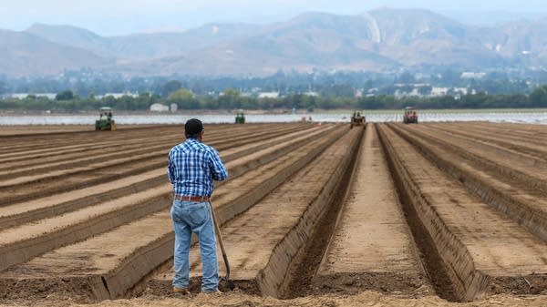 It's farm bill time
