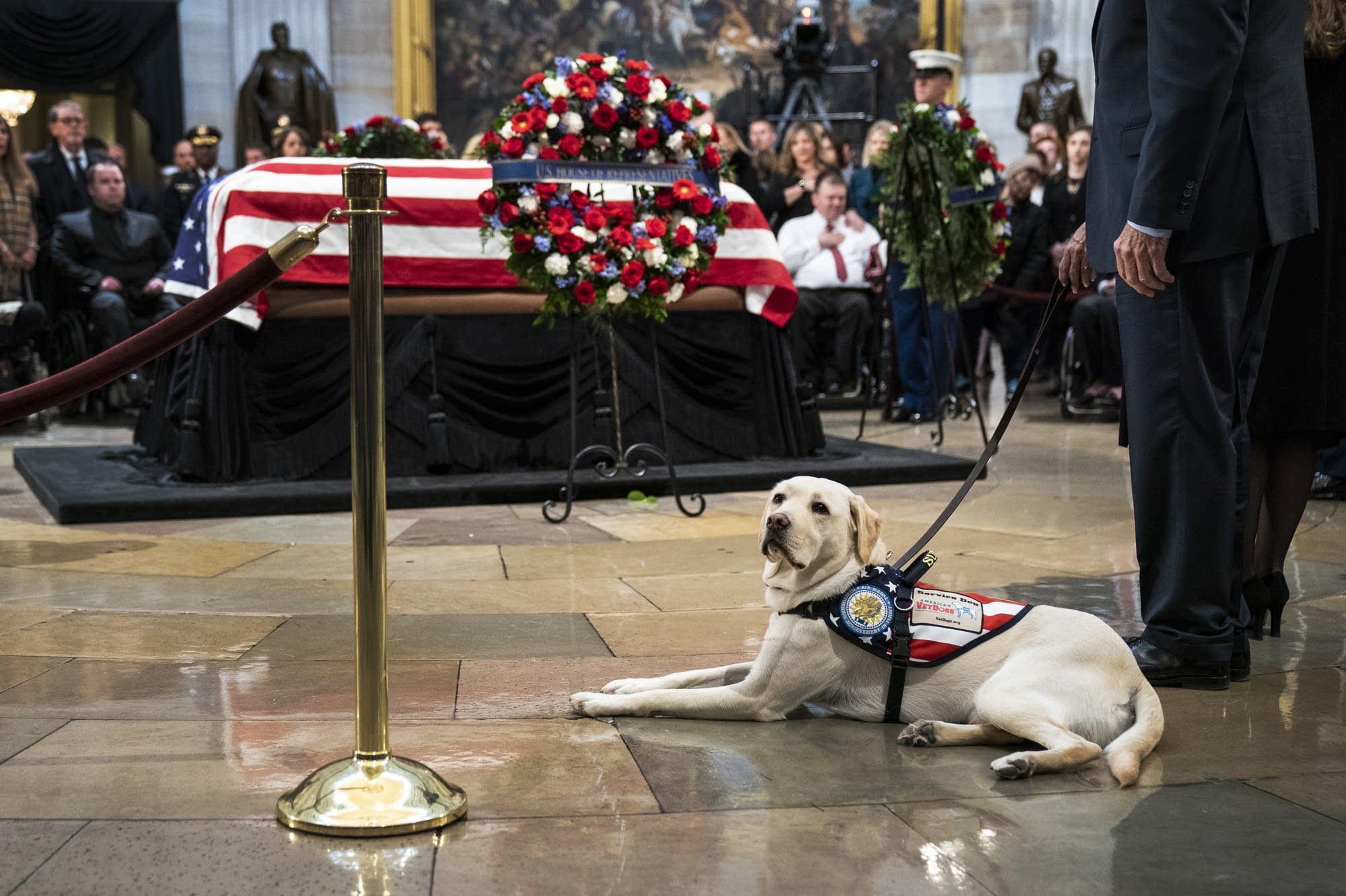 Sully sits near the casket of the late President George H.W. Bush.