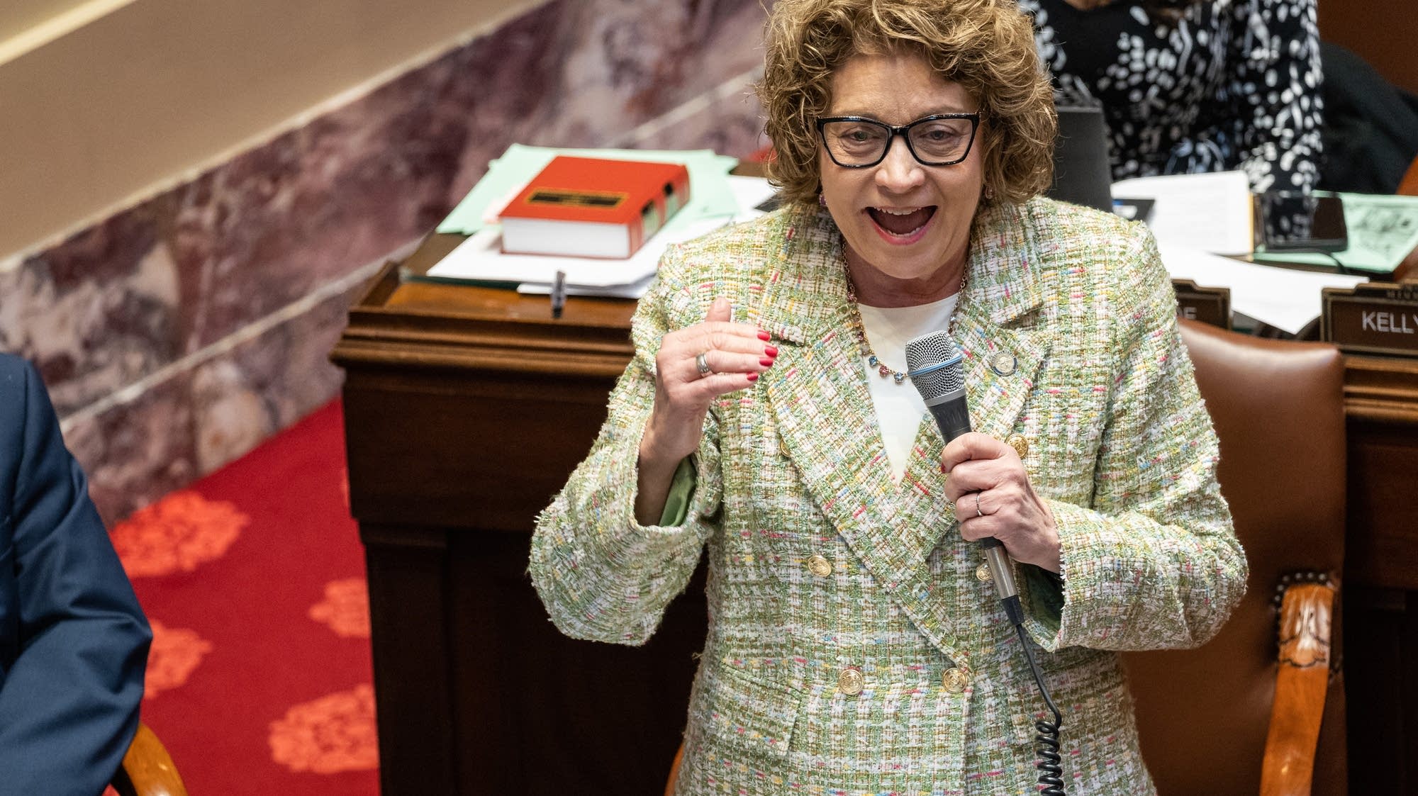 DFL and GOP target open state senate seat in Rochester
