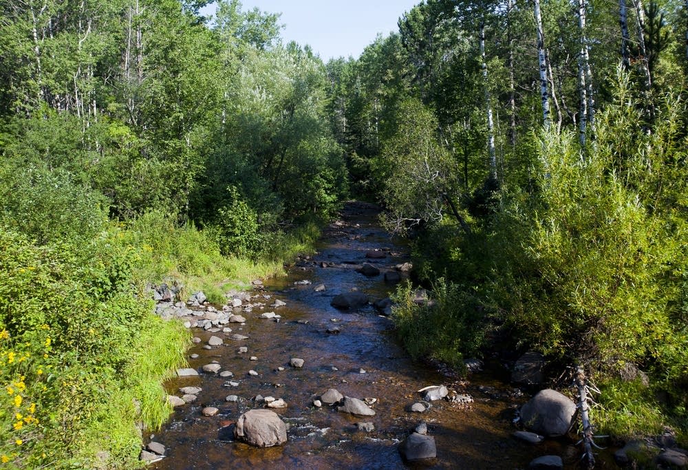 Amity Creek