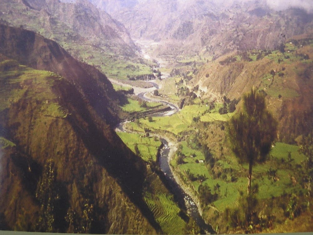 Down in the valley