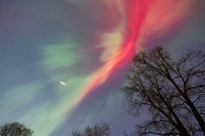 northern lights in Powderhorn Park