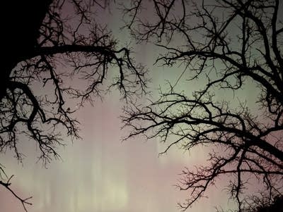 aurora in lake elmo 