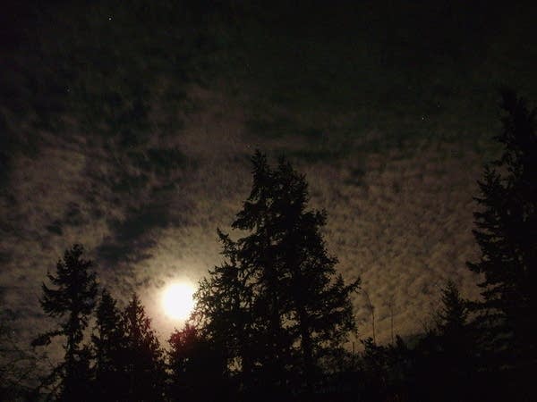 Nighttime cirrocumulus clouds