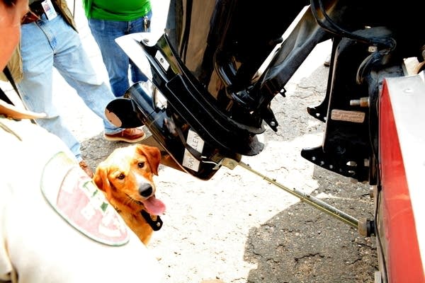 DNR sniffer dog