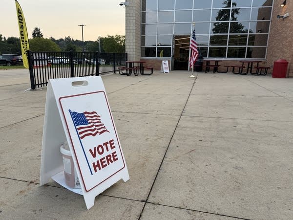 primary election day
