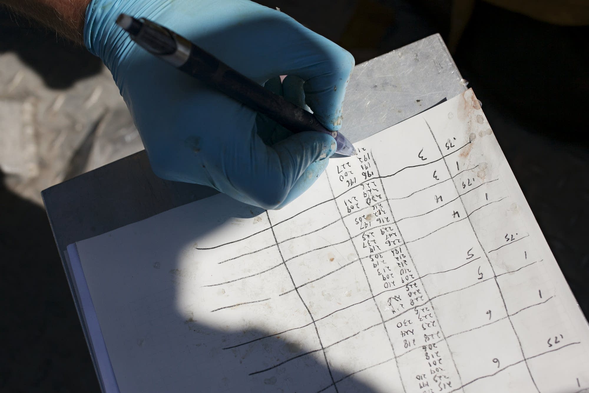 Biologist Will French records information about ciscoes.