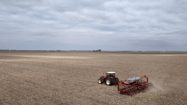 Soybean prices are low now because the top international buyer of U.S. soybeans, China, is sitting this harvest out.