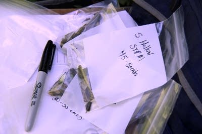 Artifacts from Swede Hollow