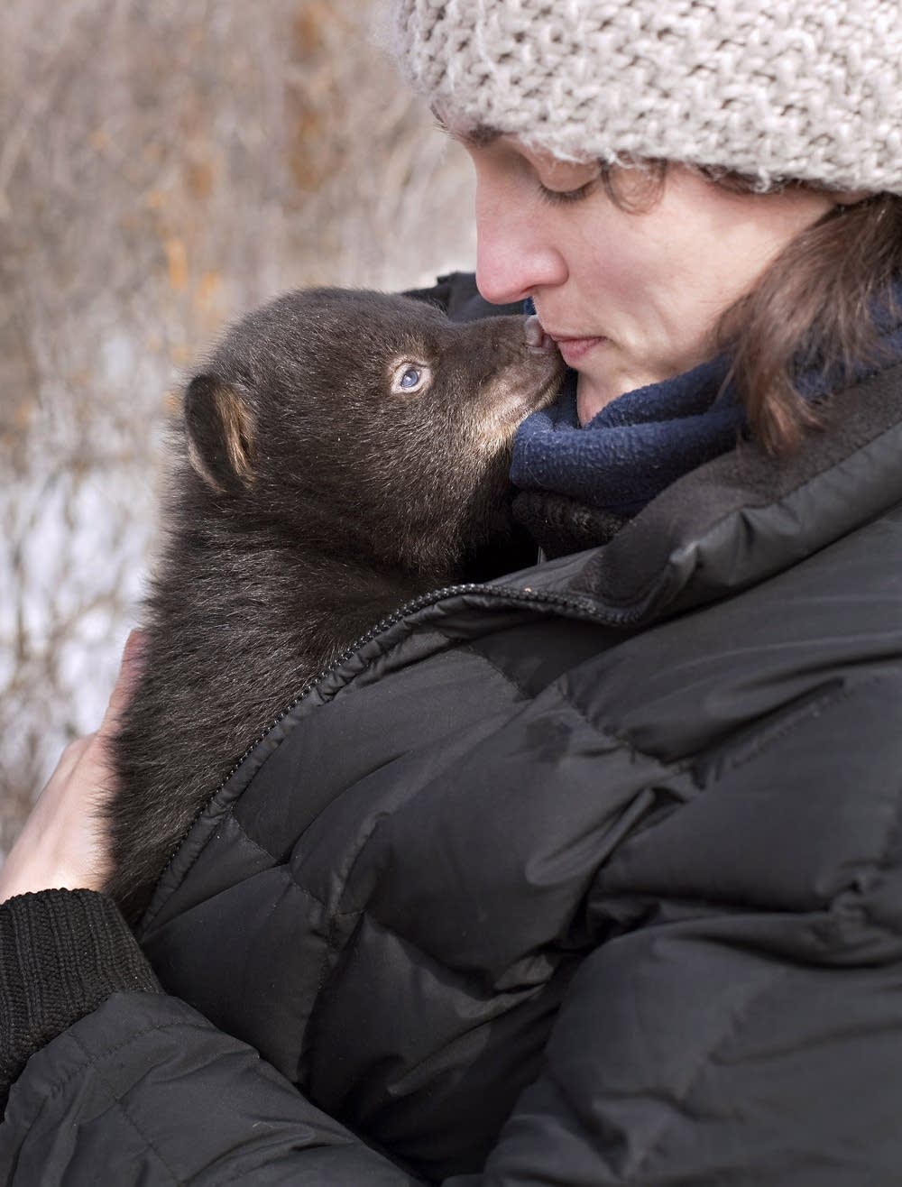 Bear cub