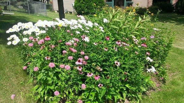 Waiting for the butterflies. And waiting…