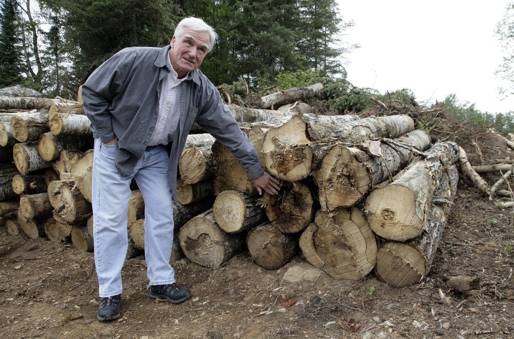 Fit for biomass fuel