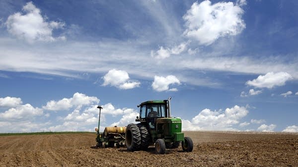 It could take months for energy-driven price spikes to show up in grocery bills, said Joe Glauber.