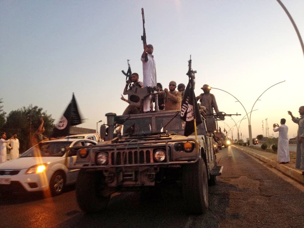 Islamic State fighters