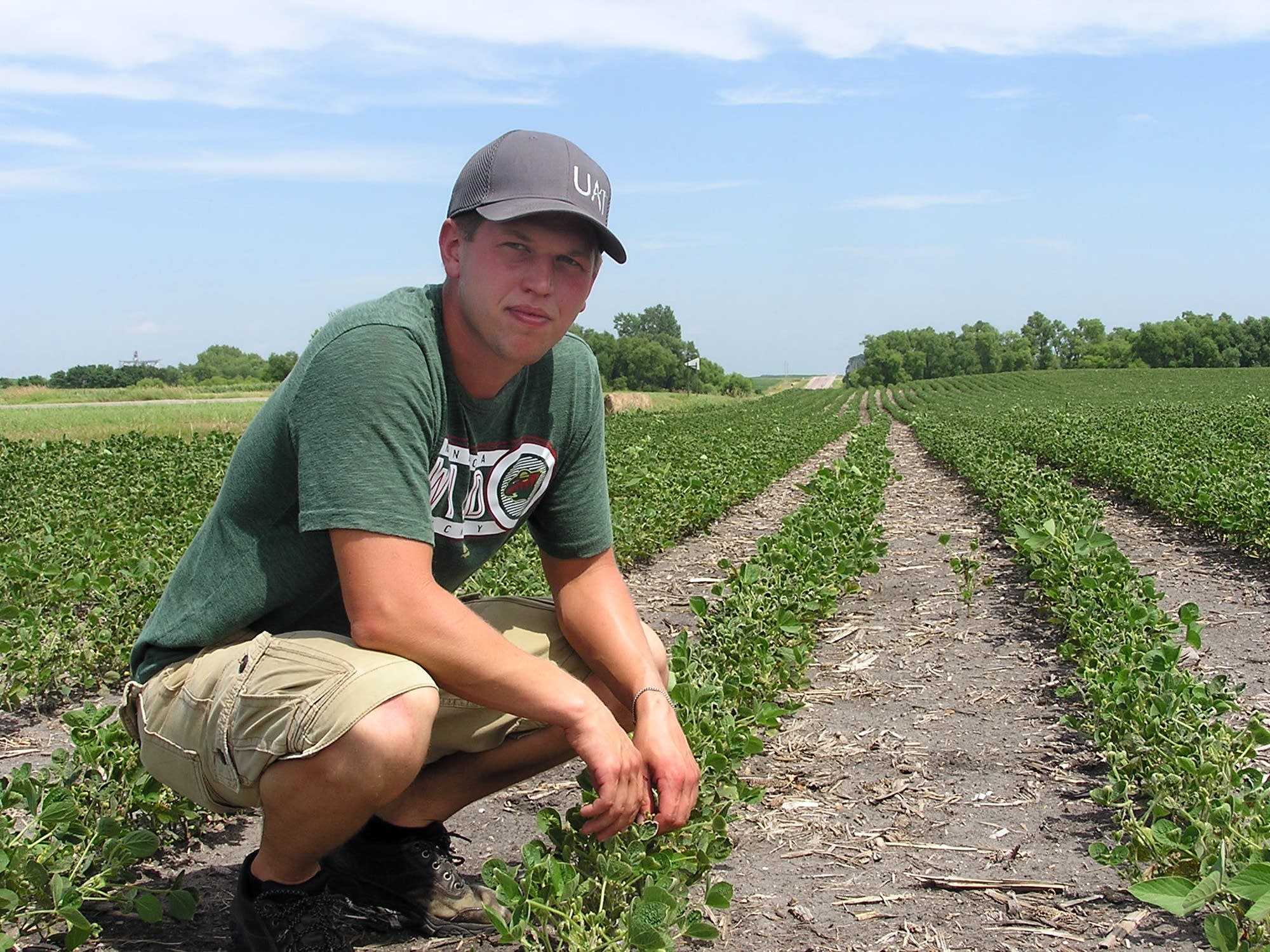 Private crop consultant Stephan Melson has checked out reports of damage.
