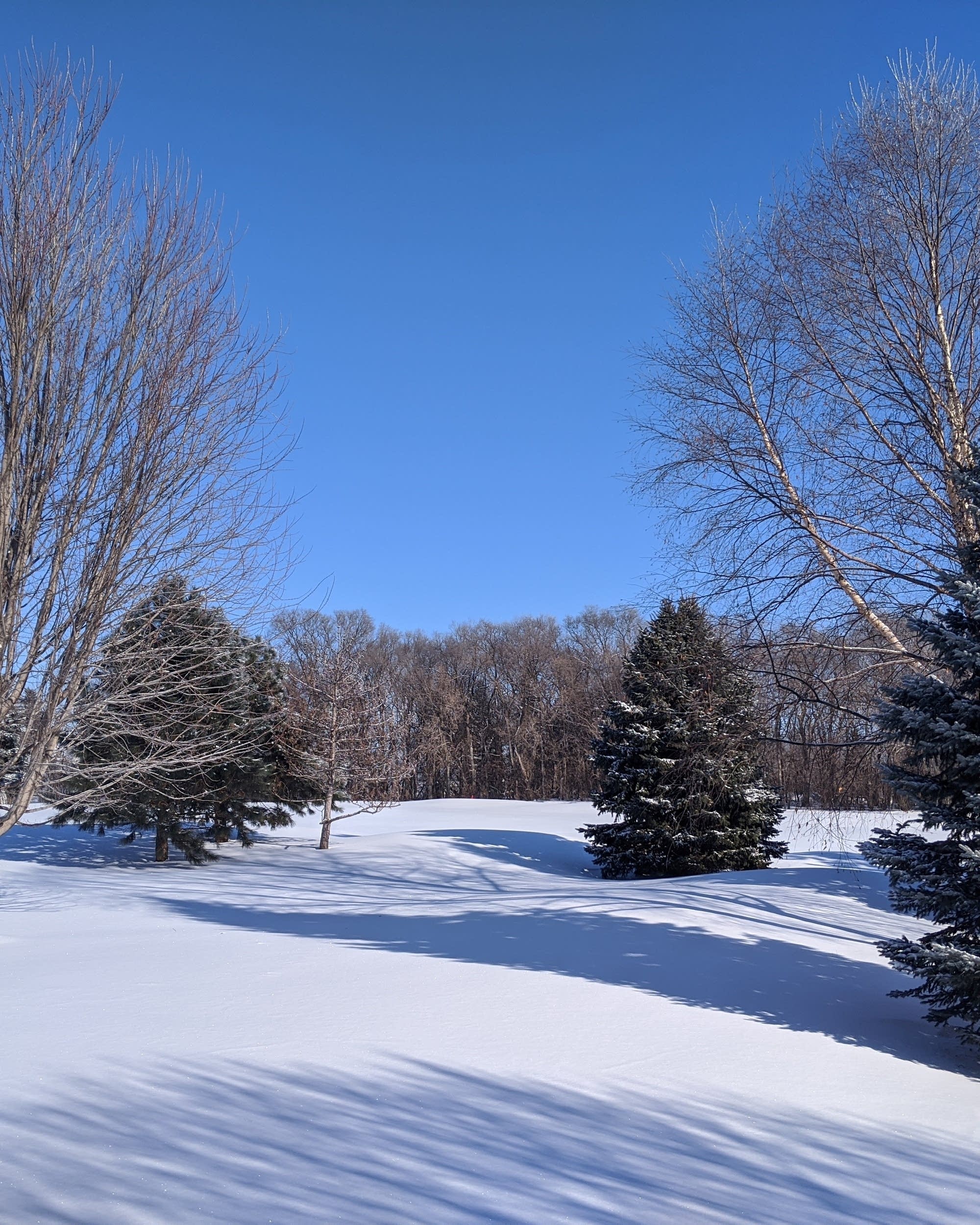 Download Winter S Halftime Score On Pace For Mildest Winter In 8 Years Mpr News