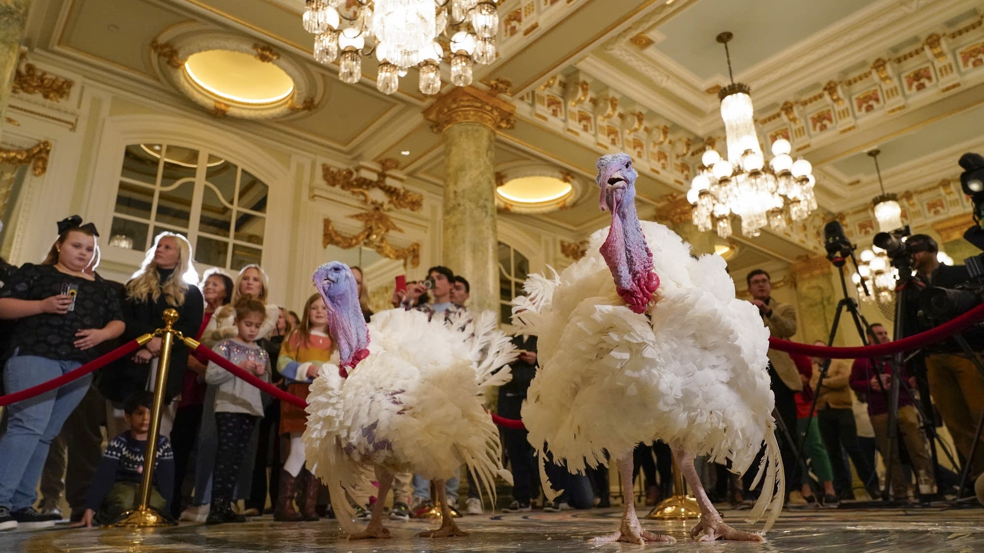 Biden is spending his 81st birthday honoring tradition of pardoning Thanksgiving turkeys - Vimarsana News