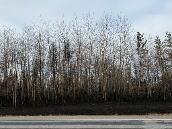 Damage from a fire-1