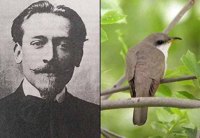 Canteloube and Cuckoo
