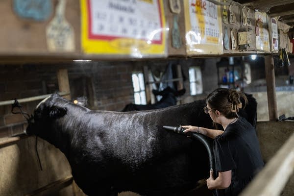 ‘Our way of life’: State Fair traditions keep a Minnesota farm family close across generations