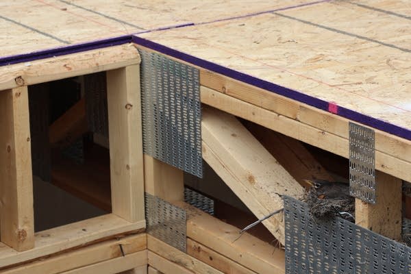 A robin in a construction site