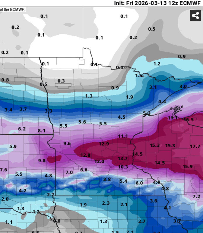 European ECMWF model snowfall output