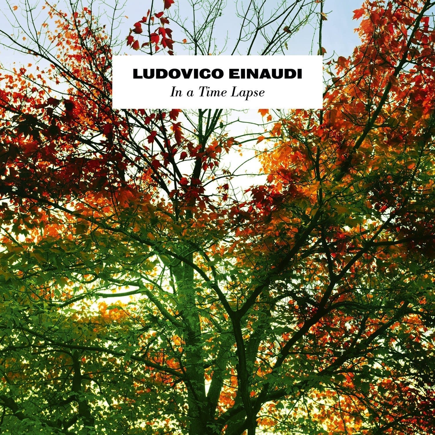 Ludovico Einaudi, In a Time Lapse