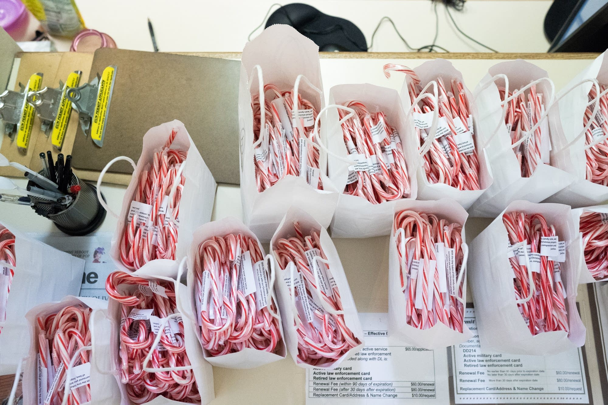 Hundreds of candy canes sit on a counter.