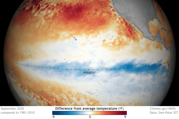 Tropical Pacific SST departures in September 2020