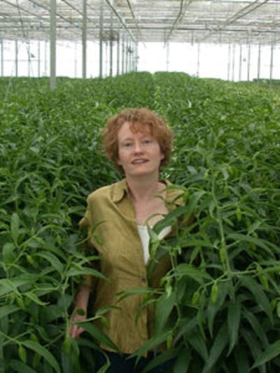Amy Stewart