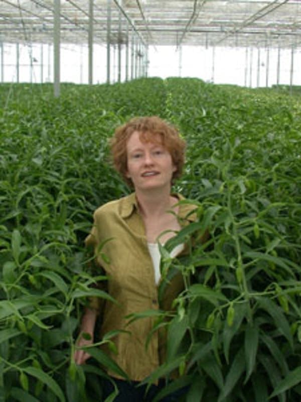 Amy Stewart