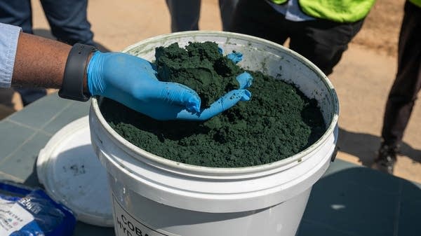 Australia plans to stockpile minerals crucial for tech
