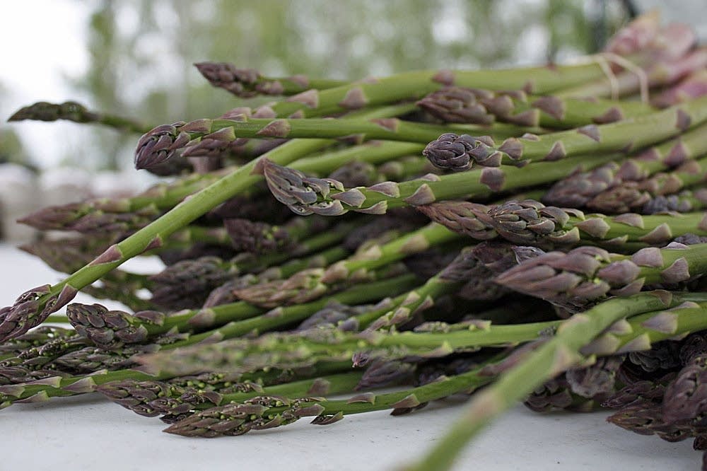 Program helps beginning farmers get started Minnesota Public Radio News