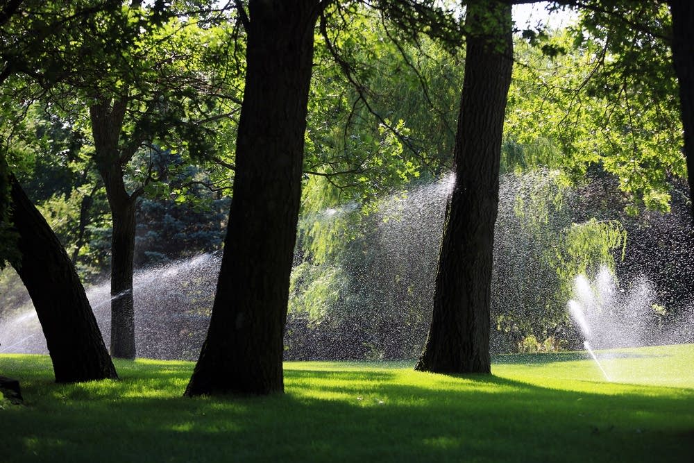 Irrigating an Andover lawn