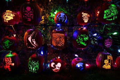 A display of elaborately carved pumpkins for Halloween