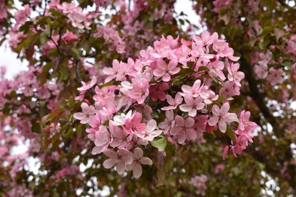 Weekend rain totals highest in southern Minnesota; Dry start to the work week 
