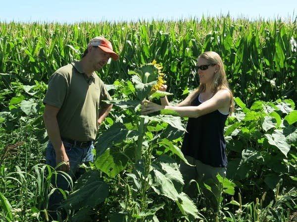 Researchers Jonathan Lundgren and Chrissy Mogren