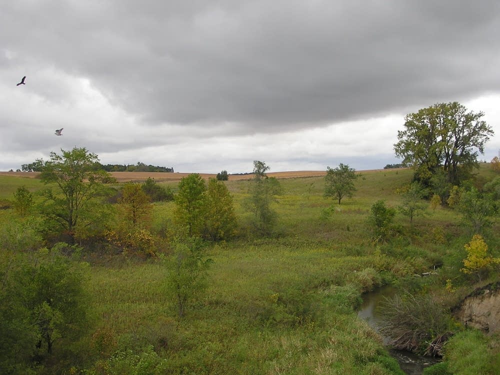 Battle site