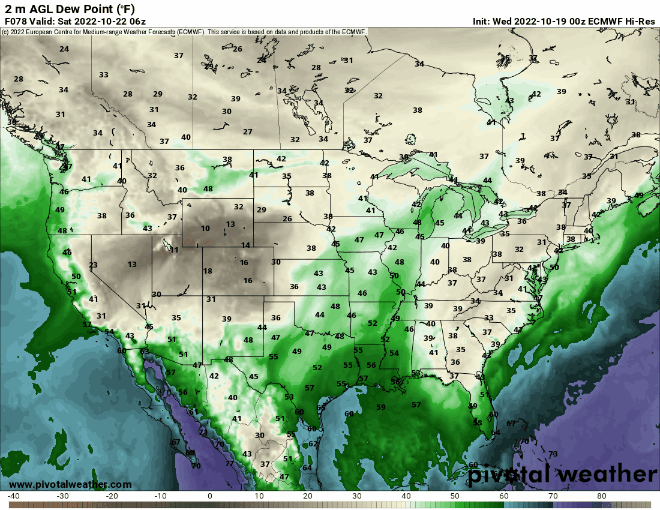 dews fcst