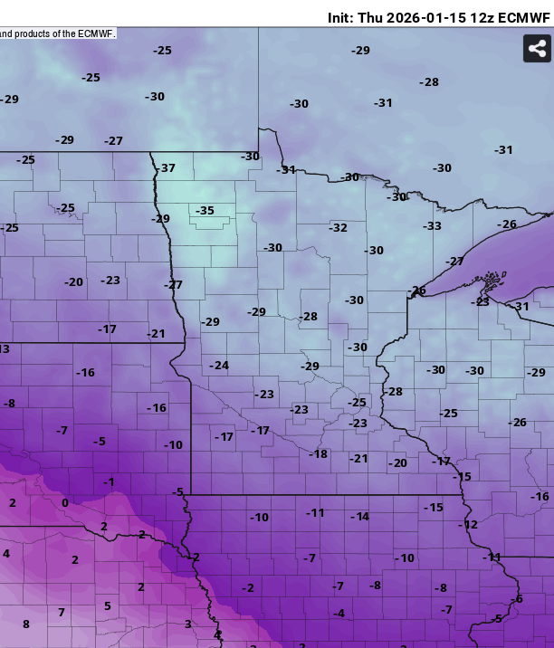 European ECMWF model temperature