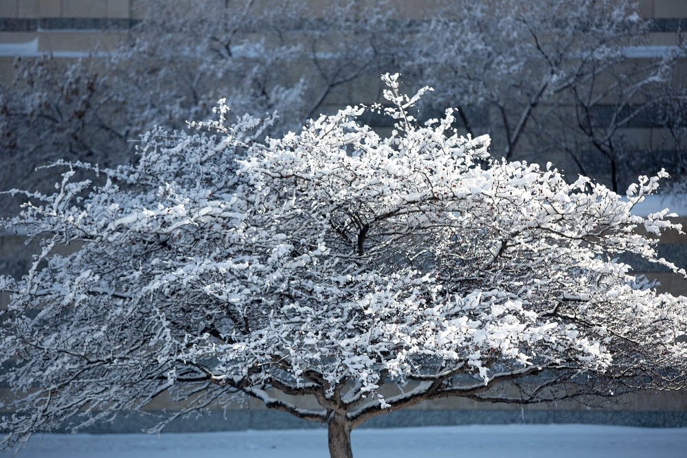 Snow