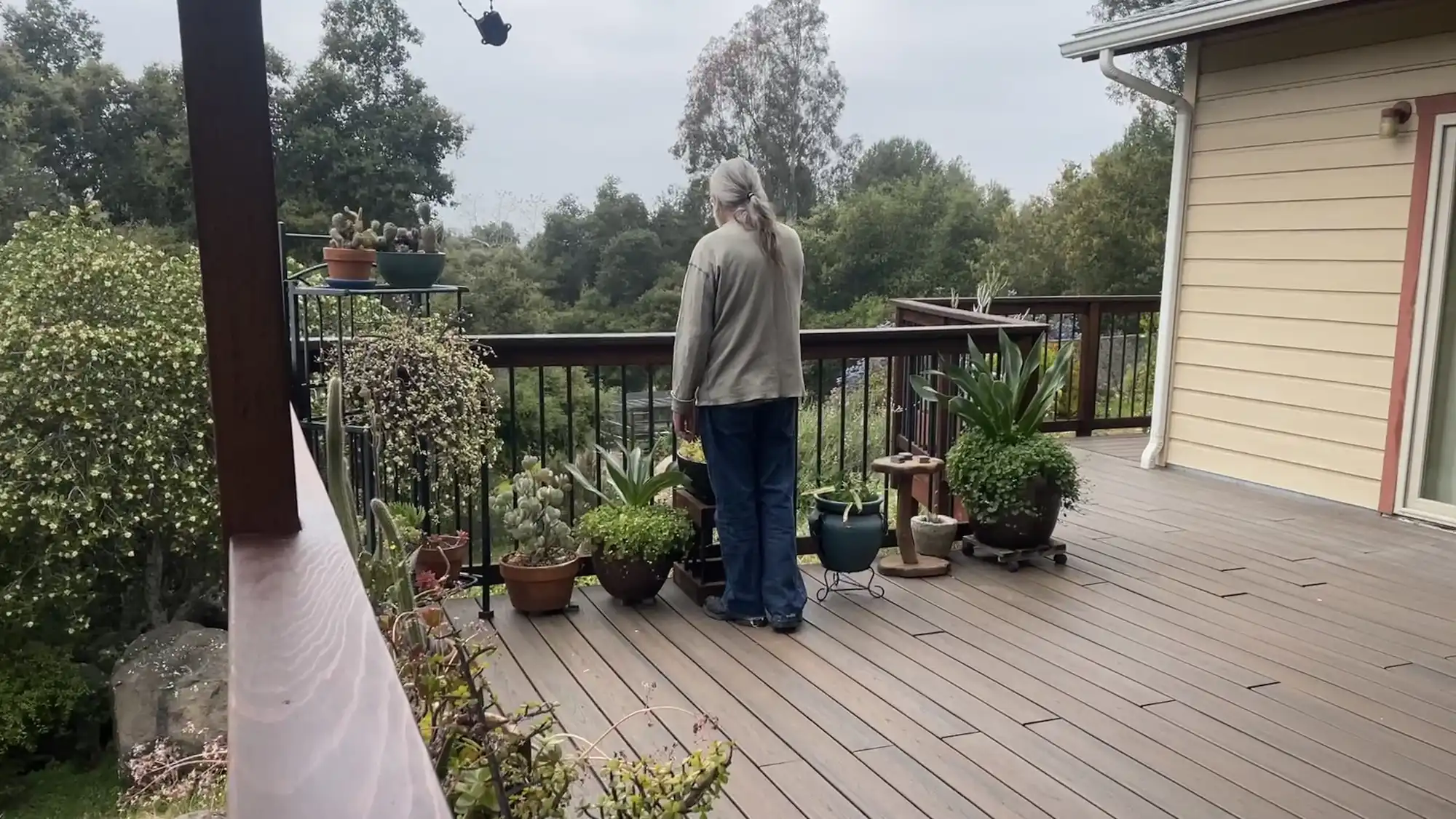 Safety net plans are only insurance option for some homeowners ...